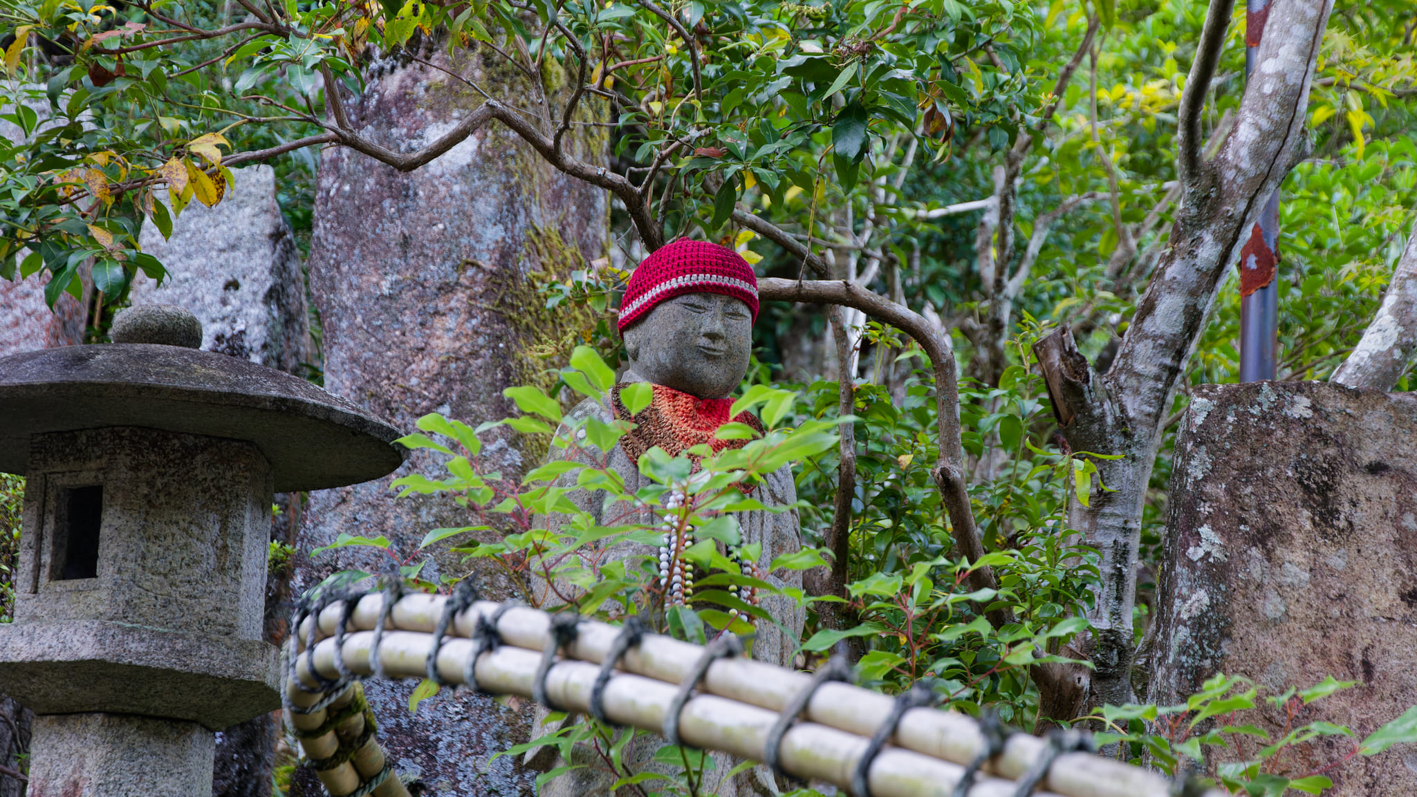 12-Ile Miyajima (15).jpg